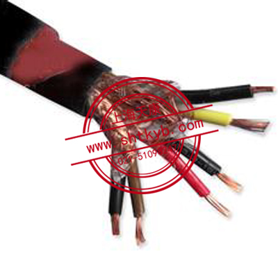 DJFFP DJFPFRP22耐高溫-耐油-防腐蝕計算機電纜