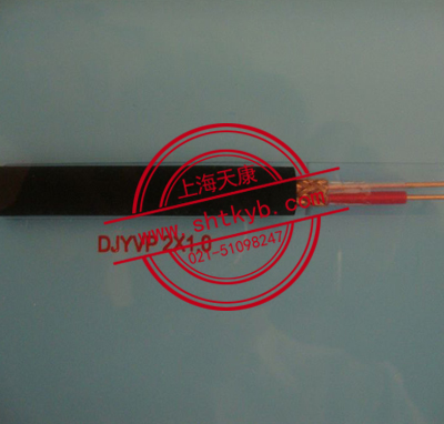DJYVP 2*1.0計算機(jī)屏蔽電纜