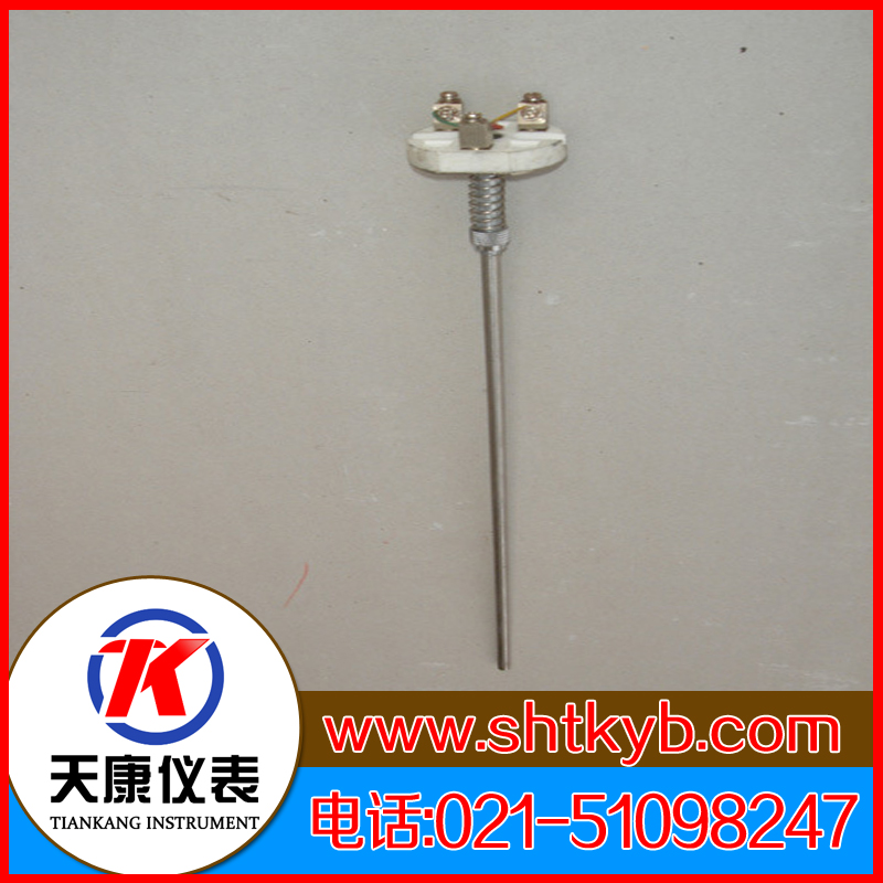 熱電偶感溫元件WRN2-101