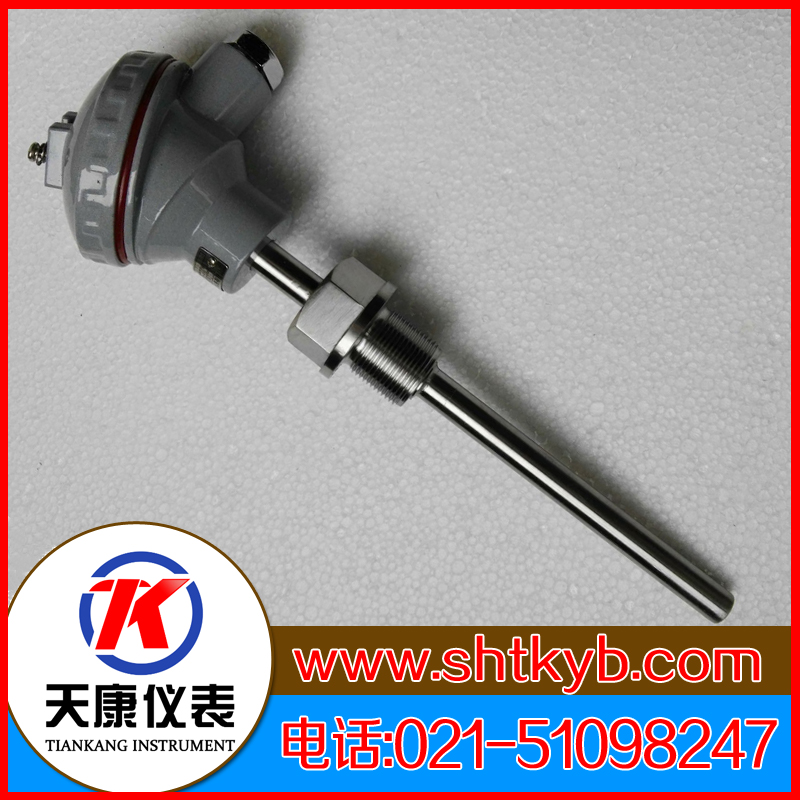 裝配式熱電偶WRM2-230G