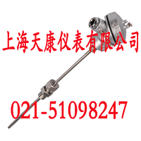 鎧裝熱電阻WZPK-306S
